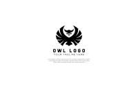 Owl graphic design