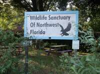 Wildlife sanctuary of northwest florida inc